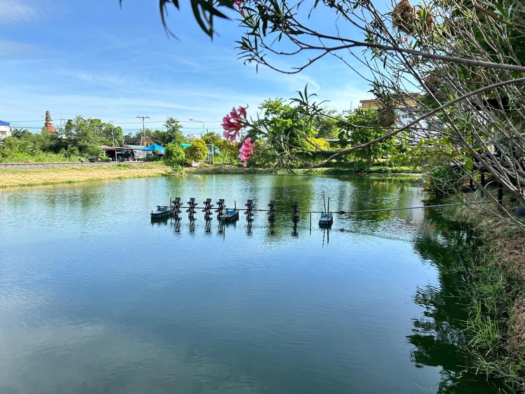 Dd Boutique Resort Ban Wat Pa Dış mekan fotoğraf